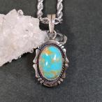 パイロットマウンテンターコイズペン...