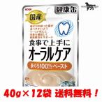 アイシア 国産 健康缶パウチ オーラルケア まぐろペースト 40g×12袋 送料無料（ポスト投函便）