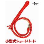 PARACORDLEADパラシュー...