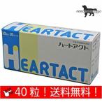日本全薬工業 ハートアクト 犬用 10粒×4シート (40粒) 送料無料（ポスト投函便）