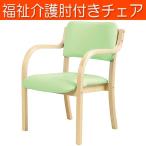 肘付ダイニングチェア 福祉施設 介護 デイサービス DC-530P（GN）送料無料