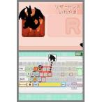 ニンテンドーDS用ソフト