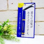 【ネコポス便（追跡可能メール便)につき送料無料!!】メンズ眉墨 ブラック