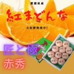 「お歳暮 」みかん 紅まどんな 【匠と極】赤秀 3L〜4L(8個〜10個)(約3kg) JA全農えひめのオリジナル品種