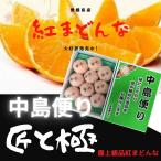 「お歳暮 」みかん 紅まどんな 【匠と極】 3L〜4L約3kg 【糖度13度以上】最上級品 中島便り