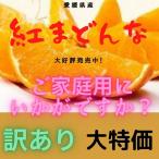 みかん 紅まどんな 【訳あり!家庭用】 優品サイズおまかせ(約2.7kg) JA全農えひめのオリジナル品種