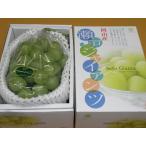  Seto ja Ian tsu[ красный превосходящий ] 1.(700g)[ бесплатная доставка * однако Hokkaido Okinawa * отдельный 1500 иен ]