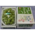 * предварительный заказ распродажа * автомобиль in мускат 1.(700g и больше ).... предмет производство товар [ бесплатная доставка * однако Hokkaido * Okinawa отдельный Y1500]