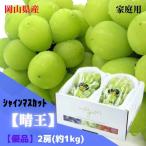 岡山県産 ぶどう シャインマスカット晴王 【訳あり!】 2〜3房(約1kg)送料無料※但し 北海道・沖縄別途¥1500