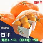 ショッピング甘平 みかん 甘平  L〜3Ｌ（5個〜7個）約1.4kg×2箱 JAえひめオリジナル品種　ギフト　贈答用　誕生日　御祝　御礼　フルーツ　果物　高級