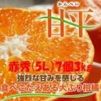 みかん 甘平 【赤秀】 5L【匠と極】（7個）約3kg JAえひめオリジナル品種 (化粧箱入り、13度以上）