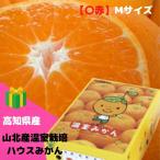 みかん 山北産温室栽培ハウスみかん【〇赤】M(約2.5kg) 高知県 甘さ抜群!【送料無料※但し 北海道沖縄・別途1500円】