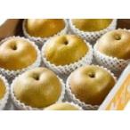 梨 新甘泉 【青秀】 約5kg(10〜16個入り)