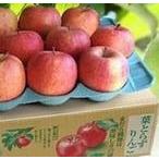 [ лист ... солнце .. яблоко ] Aomori префектура JA... Hirosaki (28~32 шт )10kg