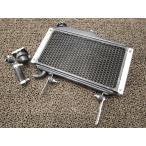 NSR125F радиатор ^R439!JC20 Honda [ JC20E ] кабина машина Италия 