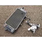 V strom 250 радиатор термостат *A1596!DS11A Suzuki [ J517 ] V-STROM анимация иметь FI впрыск 