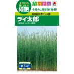 タキイ種苗 超極早生らい麦 ライ太郎
