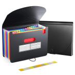 Homdolaser ドキュメントスタンド A4 アコーディオンファイル 13ポケット 書類収納ケース 色別ファイリング 区分けラベル付き 大容量 伸