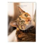 2026 год блокнот B6 man s Lee dia Lee / кошка сэнрю 