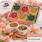 母の日 2025 遅れてごめんね カレー 6個 ギフト セット 国産 野菜 本格 カレープレゼント 期間限定 ラッピング レトルト 感謝 ありがとう