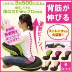背筋がGUUUN 美姿勢座椅子 姿勢補正+体の歪みストレッチ座椅子 送料無料