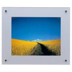 お取り寄せ フジカラー フォトフレーム 高級 おしゃれ 壁掛け 額縁 展示用  富士フィルム 額縁 プロフレーム デジタルA4 シルバー