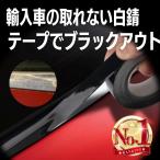 輸入車 モール 窓用 ウエストライン ビニール フィルム ステッカー 白さび対策