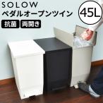 ゴミ箱 45リットル おしゃれ 分別 ス