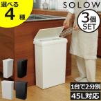 ゴミ箱45リットル分別おしゃれスリ...