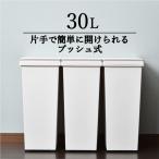 ゴミ箱 ごみ箱 おしゃれ 分別 キッチン スリム 蓋つき 袋 隠れる ワンタッチ 30リットル 45L 対応 キャスター付き アスベル( エバンプッシュペール 30L )