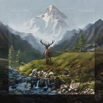 ショッピングマイガール CD/カリギュラズ・ホース/ライズ・レイディアント (歌詞対訳付)【Pアップ