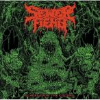 【取寄商品】CD/SEWER FIEND/Echoes from the Cistern (限定赤ロゴジャケット・アジア盤)