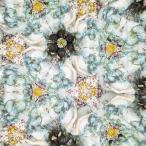 CD/Aimer/太陽が昇らない世界 (通常盤)