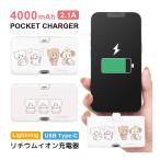  мобильный аккумулятор легкий iPhone mikko illustrations 4000mAh Lightning USB Type-C зарядное устройство 2.1A прямой .. маленький размер легкий nmd-07