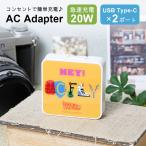 AC адаптор модель C USB Type-C BACK TO THE FUTURE AC адаптер зарядное устройство 2 порт розетка электрическая розетка модель bttf-23a