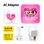 AC адаптер USB Powerpuff Girls USB A порт C порт зарядное устройство розетка электрическая розетка модель gppg-22