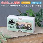  мобильный аккумулятор легкий ju lachic * world 4000mAh Lightning USB Type-C зарядное устройство 2.1A прямой .. маленький размер jw4-16a