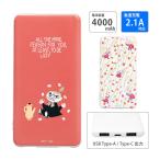  мобильный аккумулятор легкий iphone 4000mAh USB Type-C Moomin little miifea зарядное устройство 2.1A смартфон симпатичный предотвращение бедствий compact Android