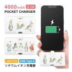  мобильный аккумулятор легкий iPhone Peter Rabbit 4000mAh Lightning USB Type-C зарядное устройство 2.1A прямой .. маленький размер pr-115