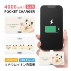  мобильный аккумулятор легкий iPhone. шесть. повседневный 4000mAh Lightning USB Type-C зарядное устройство 2.1A прямой .. маленький размер легкий skr-04