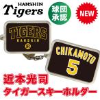  Hanshin Tigers товары лампочка . одобрение NEW! * близко книга@ свет . брелок для ключа * новинка! Professional Baseball 
