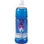  пятно e коммерческое предприятие лампа масло Rainbow масло 1L голубой OL-1000-BL