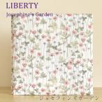 Liberty( Liberty )M размер альбом [ Josephine z сад. детский альбом M размер ]