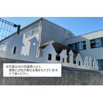 ツインピー　デザイン 忍び返し　家型