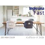 イングリッシーナ ファスト NEW COLOR!