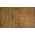 [Monshop] рептилии * земноводные * покрытие пола cocos nucifera. реальный коврик (40cm×60cm)...