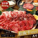 松阪牛カルビ入り 焼肉 盛り合わせ800g 4種盛り ファミリーセット 送料無料 4〜5人前 松坂牛 カルビ ハラミ タン 黒毛和牛 お中元 BM-013m1