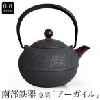 南部鉄器 南部鉄瓶 急須『アーガイル』 0.6L 日本製 茶瓶 南部小鉄瓶 内面ホーロー仕上げ 鉄分 ティーポット 伝統工芸品 ギフト プレゼント F2-TB-KSARGYLE06