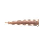  Berkley (Berkley)wa-mgarupSW Sand wa-m2 дюймовый новый pe колено G2SQSW2-NP