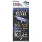 ハヤブサ(Hayabusa) HS100 小アジ専科 ケイムラサバ皮レインボー   10-3